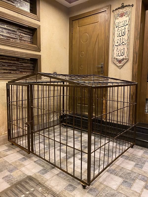 DOG CAGE 1