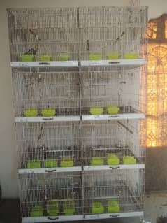 cage for sale location Gujranwala