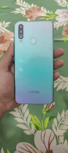 vivo