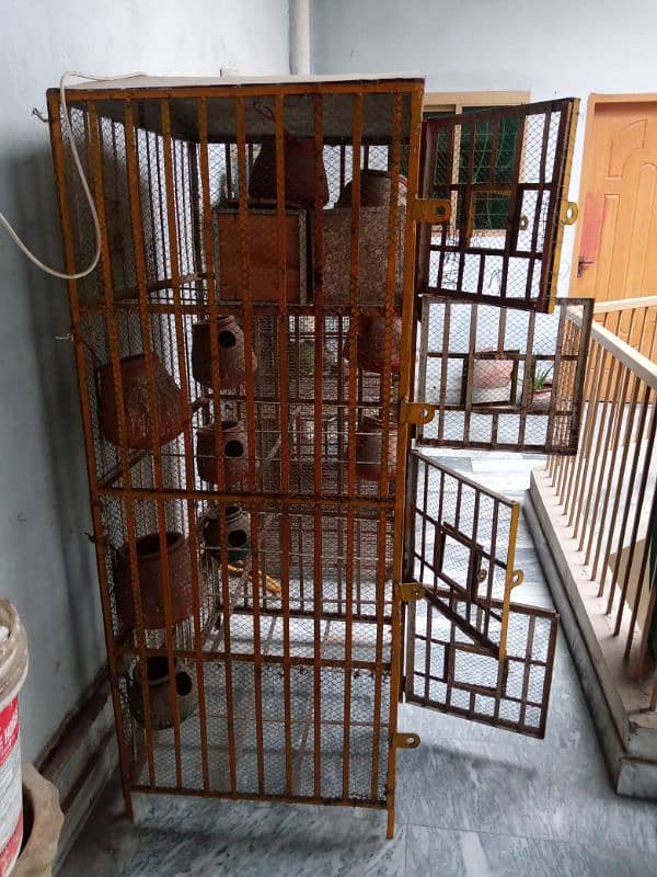 Birds cage 1