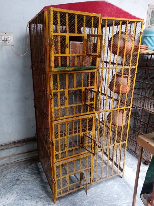 Birds cage 2