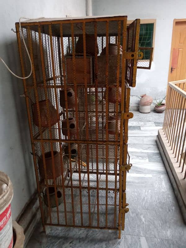 Birds cage 5