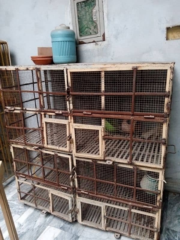 Birds cage 6