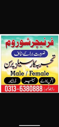 hiring open for male n female