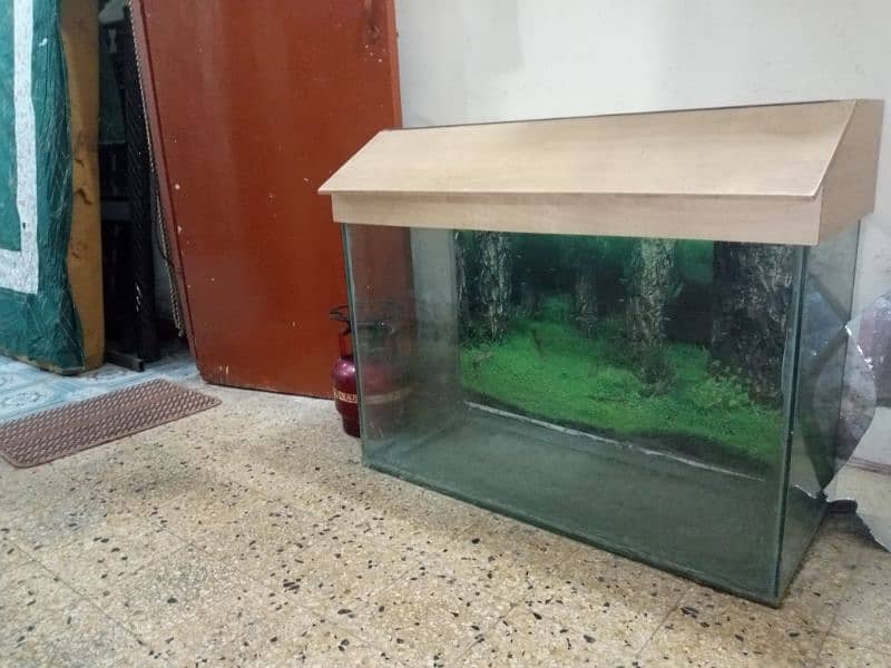 Fish aquarium 2