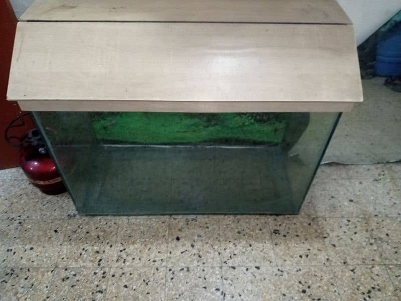 Fish aquarium 3