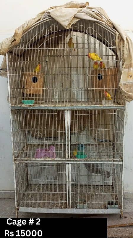 Cages Available for Sale, Very Good Quality and very Reasonable price. 3