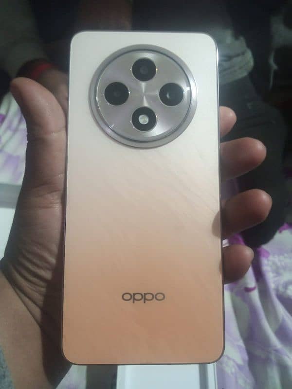 Oppo Reno 12F 5g 12 / 256 1