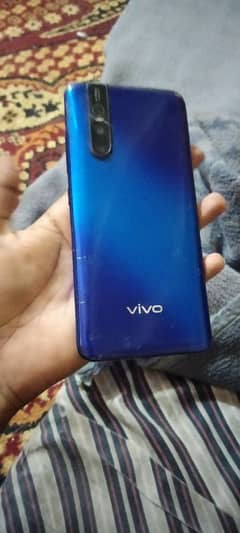 vivo