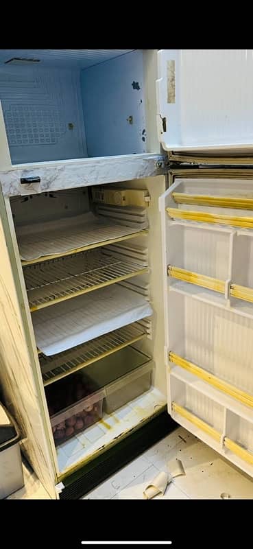 PEL fridge for sell 2