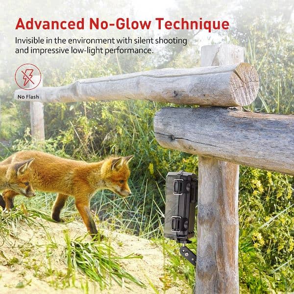 camera Victure Wildlife 20MP 1080P Trail Game Camera Motion Activated 1