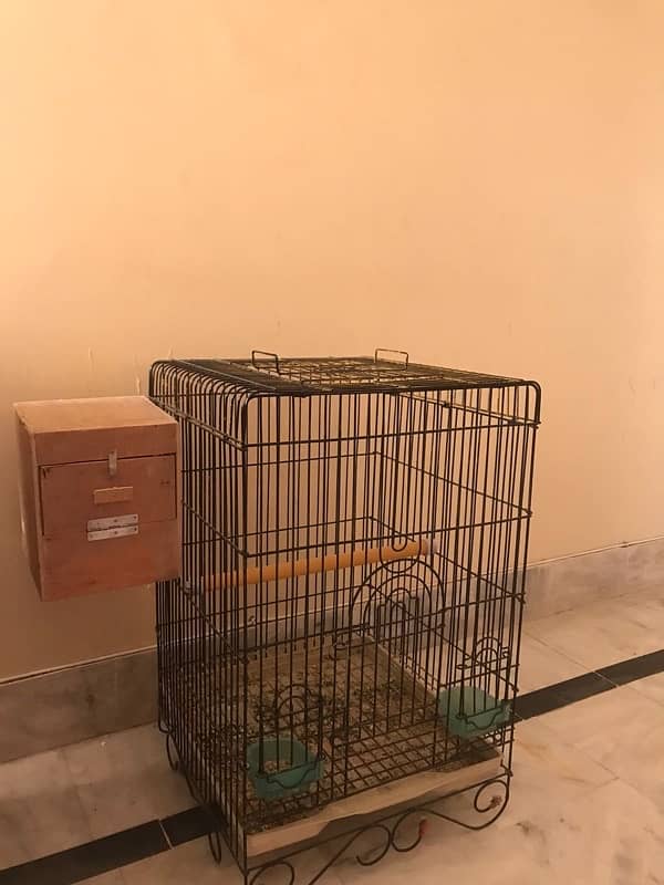 parrot cage for sell with box 1