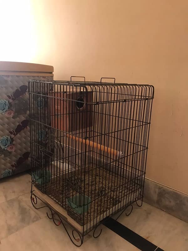 parrot cage for sell with box 2