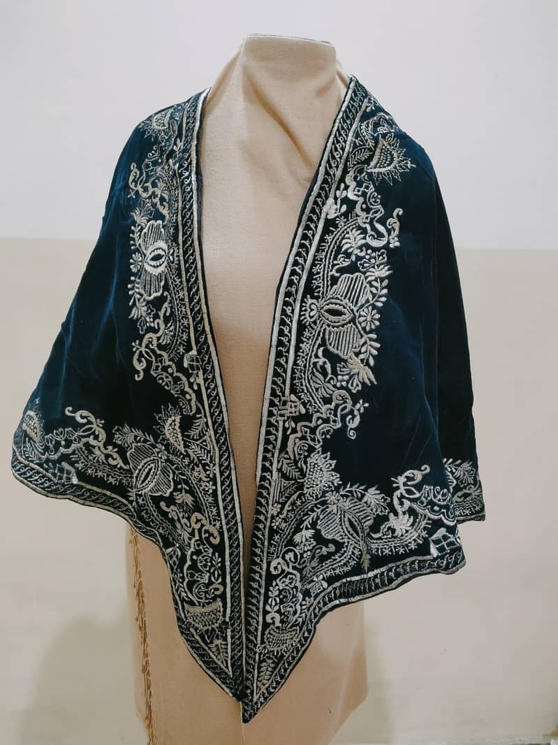 Shawal , embroidery, formal 3