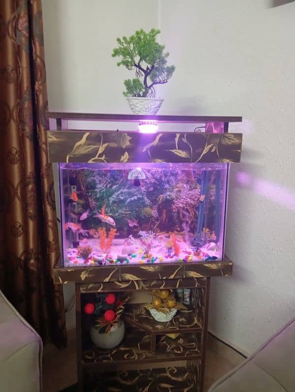 selling my two new fish Aquariums 0