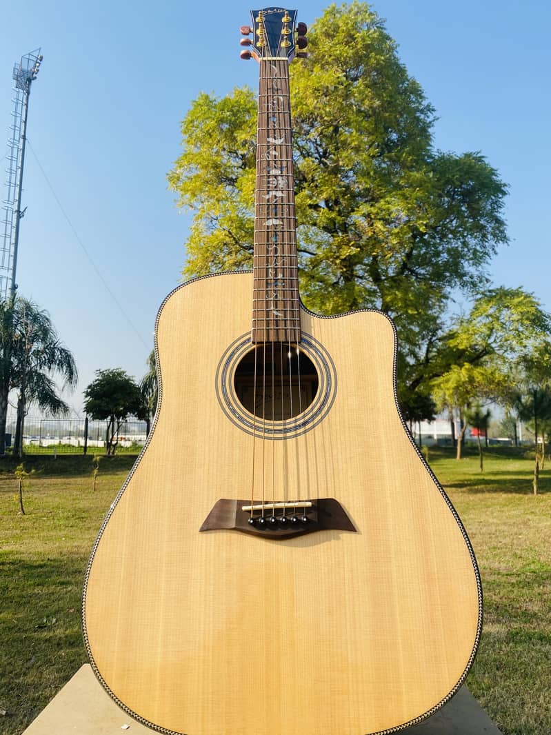 Acoustic Guitars Professhional SALE SALE SALE at happy guitar clu 7