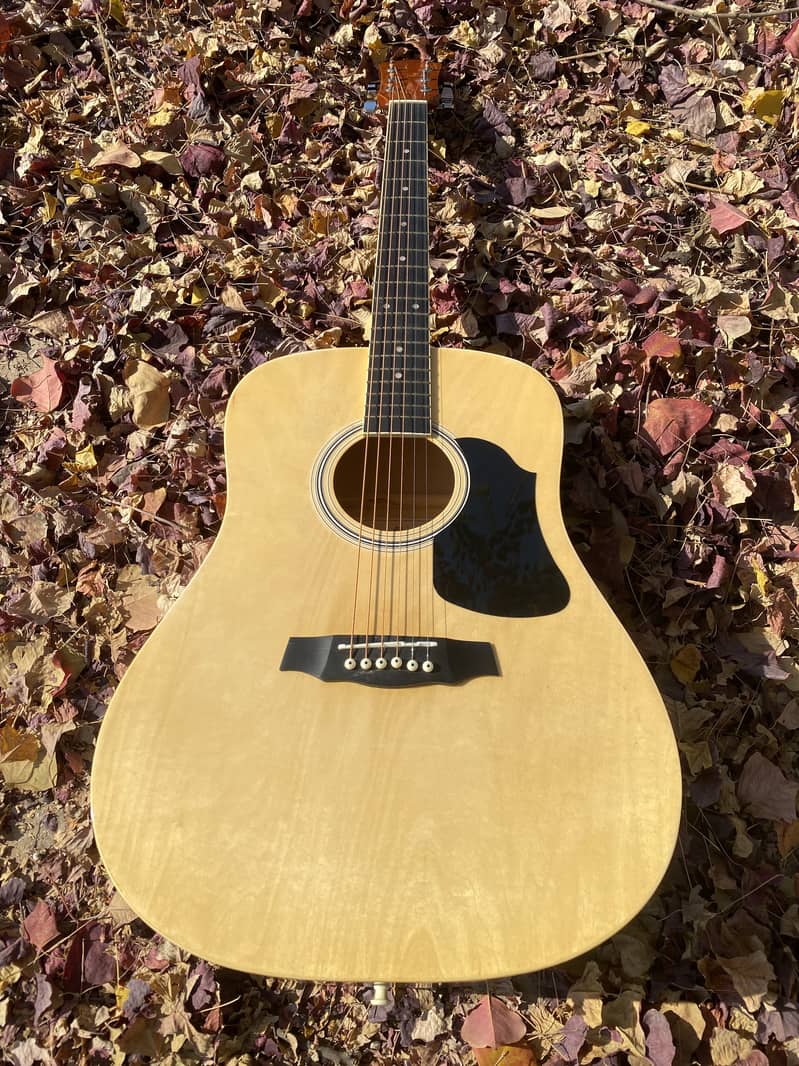 Acoustic Guitars Professhional SALE SALE SALE at happy guitar clu 11