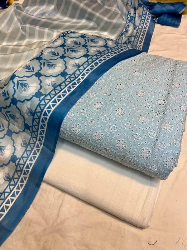 chikankari  suit 2