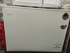 Haier Deep Freezer 230