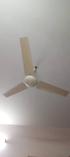 Copper Ceiling Fans