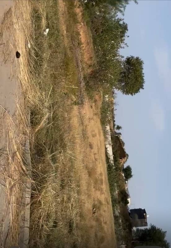 4 Kanal Plot For Sale In Sector P 1