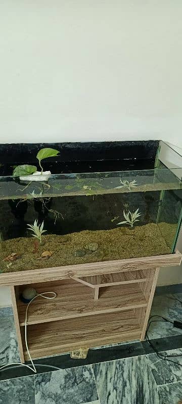 fish tank 2.5 foot only 2 months used with care 2