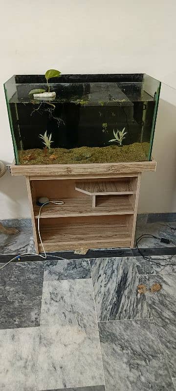 fish tank 2.5 foot only 2 months used with care 3