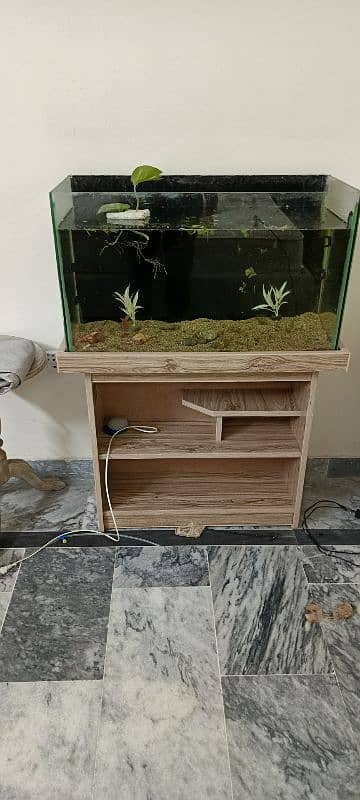 fish tank 2.5 foot only 2 months used with care 4