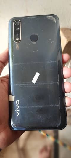 vivo