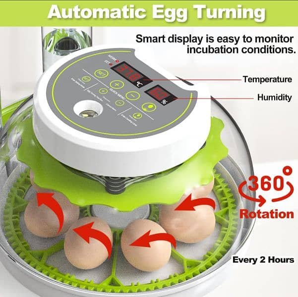 We Deals all kind of fully Automatic eggs incubator oringal importer 1