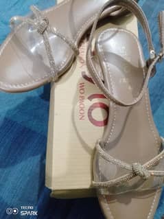 Transparent brown colour Stylo brand sandals