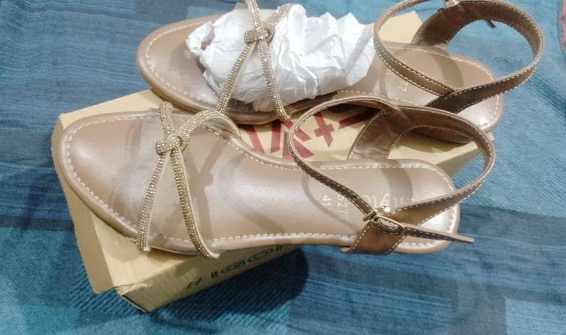 Transparent brown colour Stylo brand sandals 2