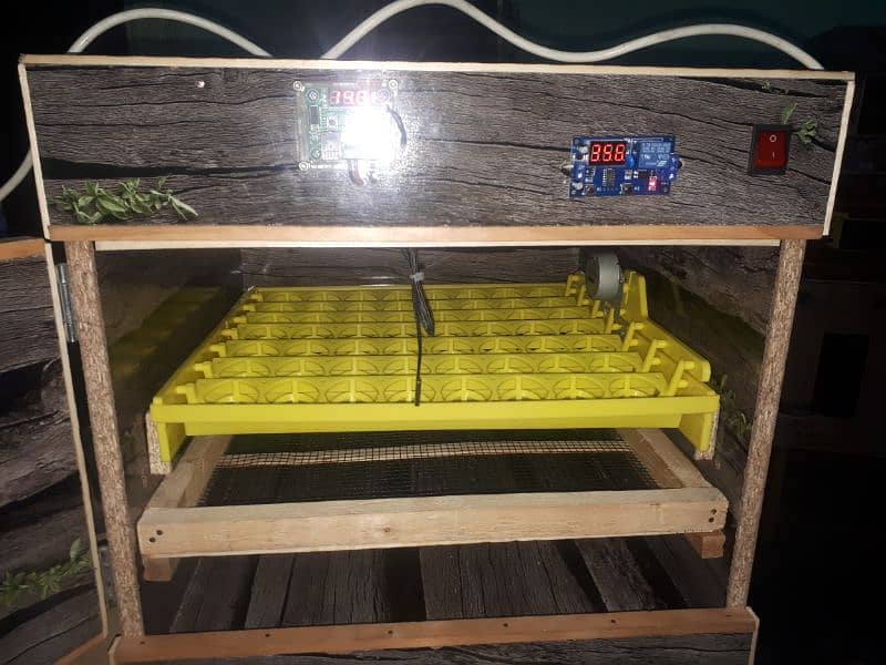 56 eggs automatic incubator 4