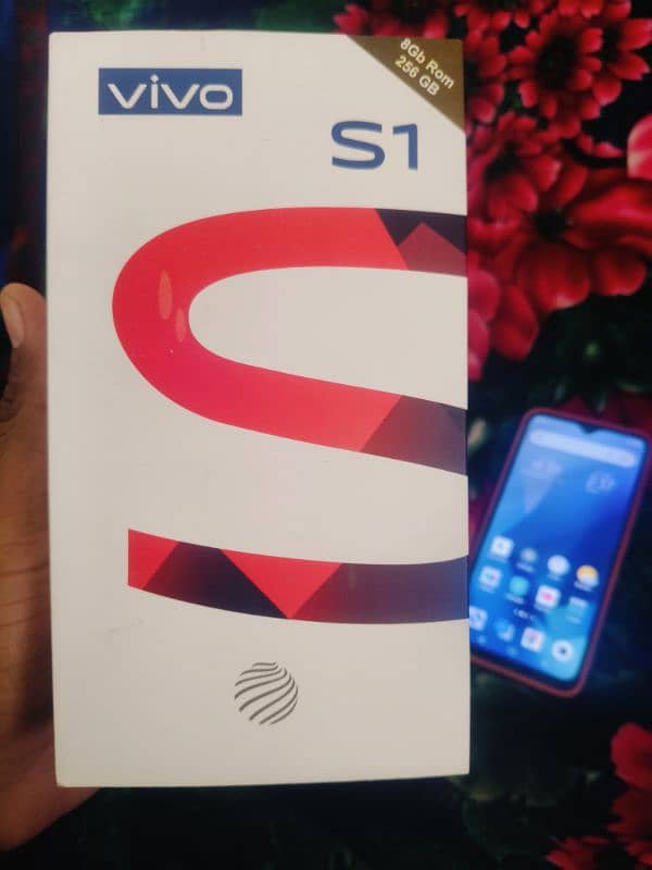 vivo s1 8/256 2