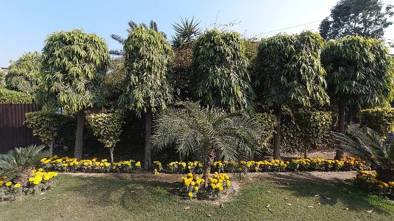 Get An Attractive Prime Location House In Lahore Under Rs. 260000000 4