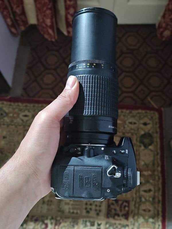 Nikon D7000 with 70-300mm lens 1