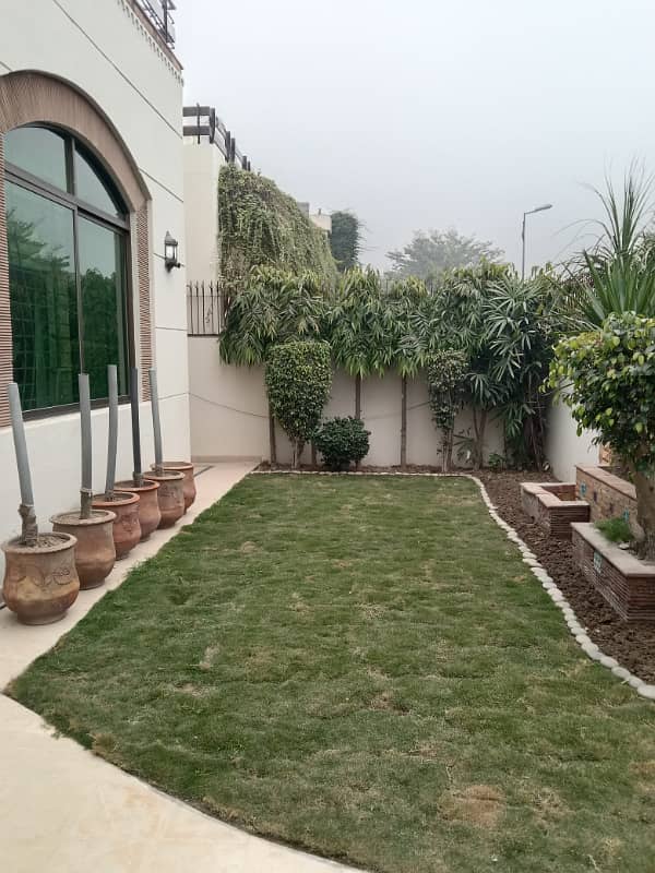 1 Kanal Ground Floor with Separate Gate Beautiful layout Plan available For Rent 0