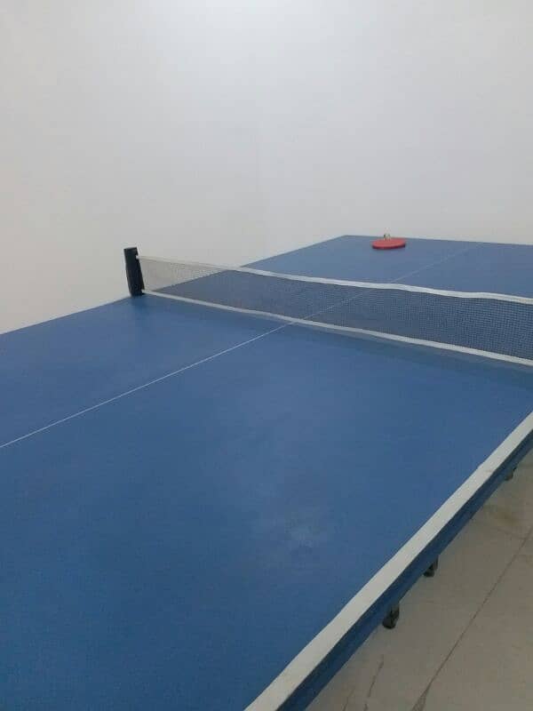 Table tennis table 2