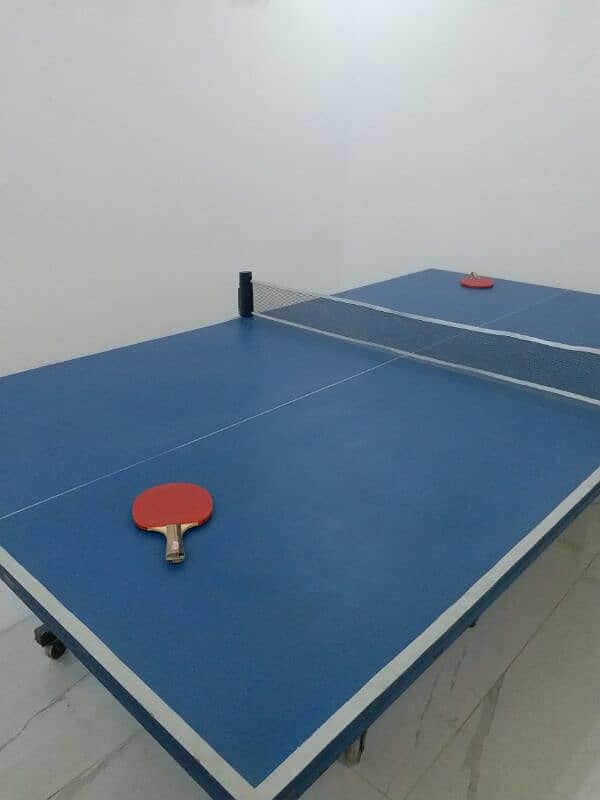 Table tennis table 3