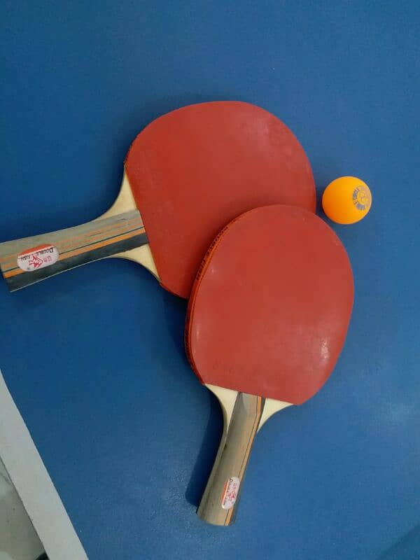 Table tennis table 4