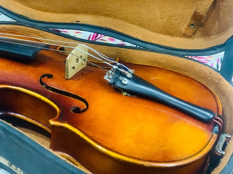 violins  made in germeny urgent sale 2