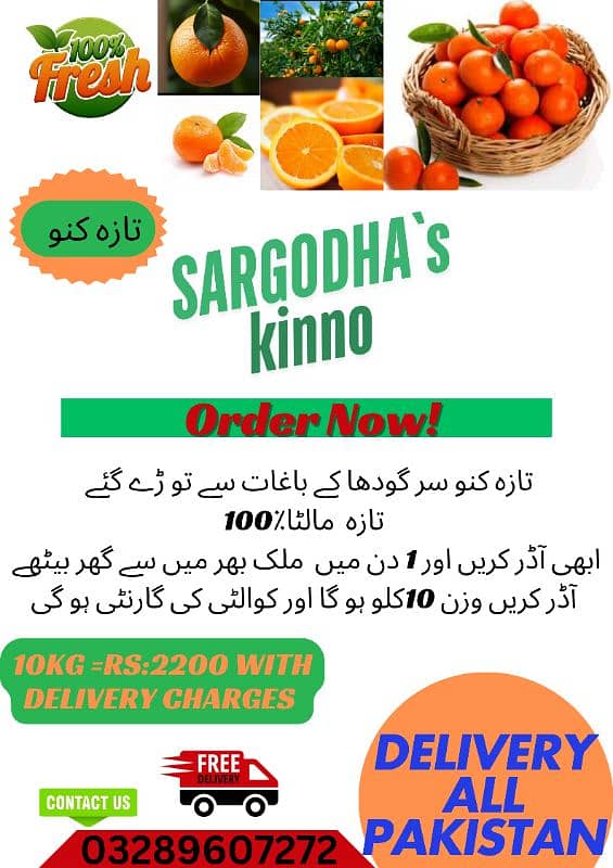 Fresh kinno/ oranges \ Malta from Sargodha (10kg) 0