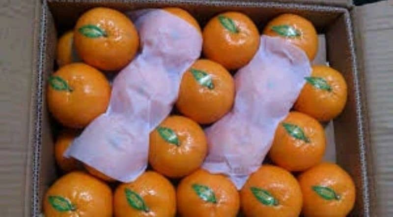 Fresh kinno/ oranges \ Malta from Sargodha (10kg) 2