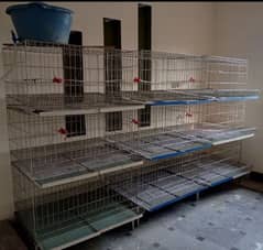 hen cages fully modified for sale