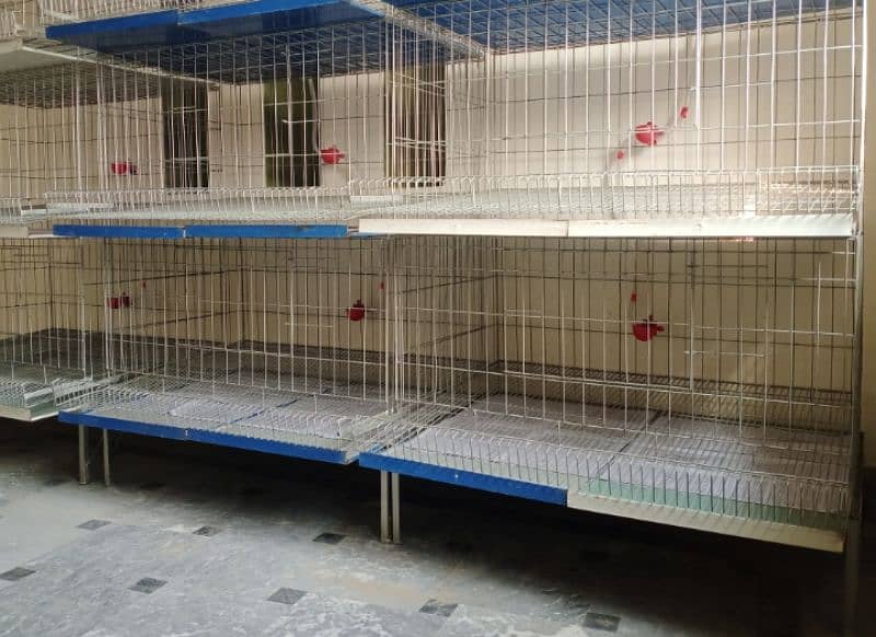 hen cages fully modified for sale 2