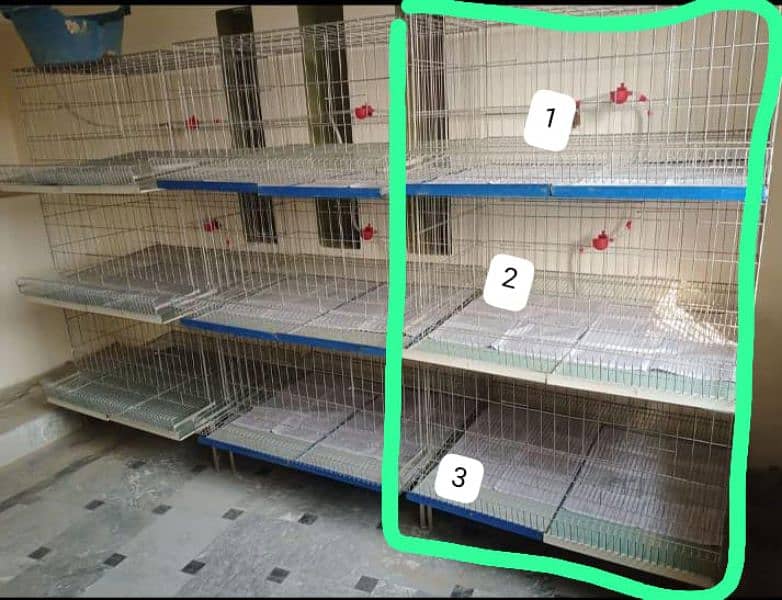 hen cages fully modified for sale 5