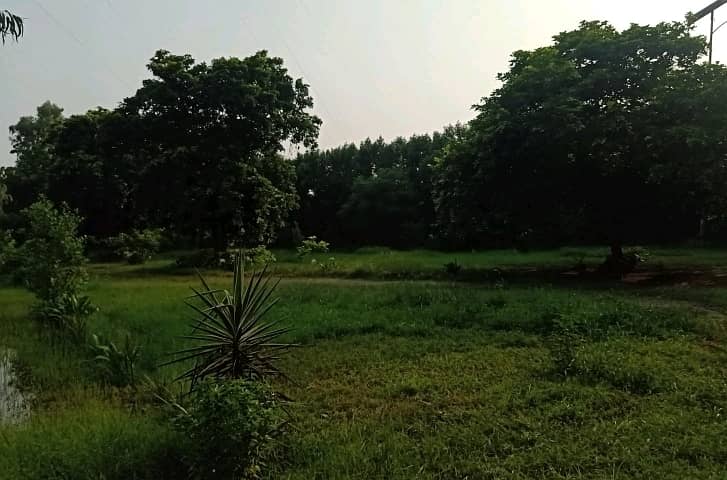 12 Kanal Industrial Land In Gajju Matah For sale 3