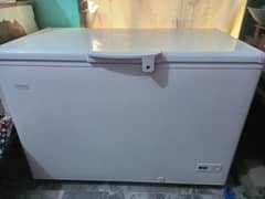 Single door freezer