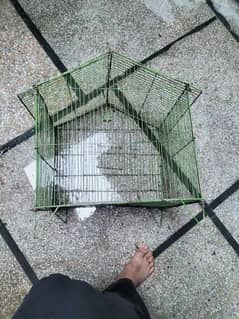 cage for sale 03084017127