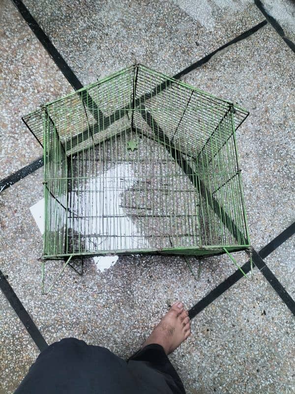 cage for sale 03084017127 0